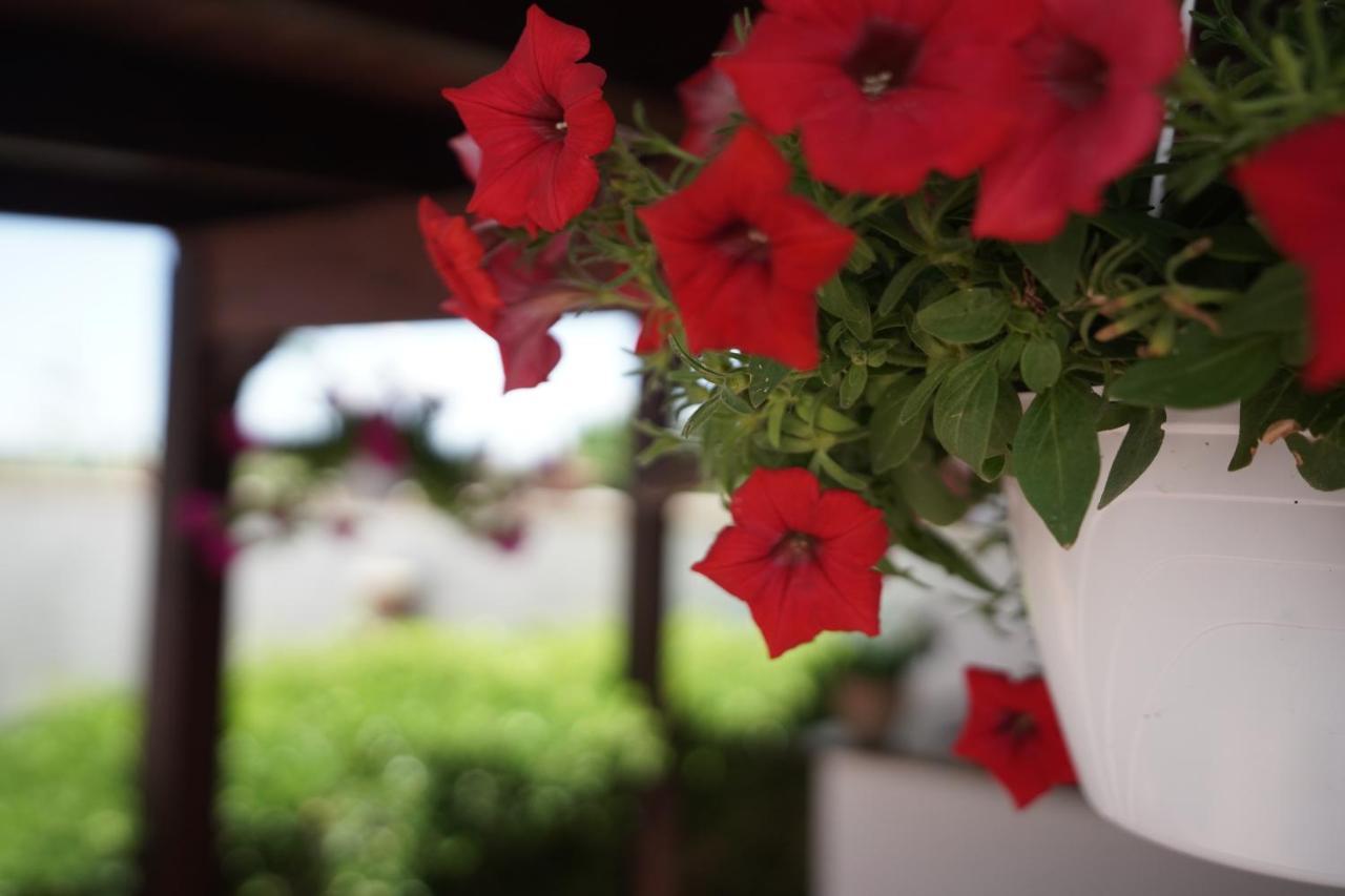 Salento Terra Maris Bed & Breakfast Cocumola Bagian luar foto